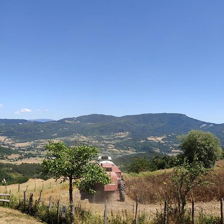 Agriturismo Al Monte サン・ピエーロ・イン・バーニョ エクステリア 写真