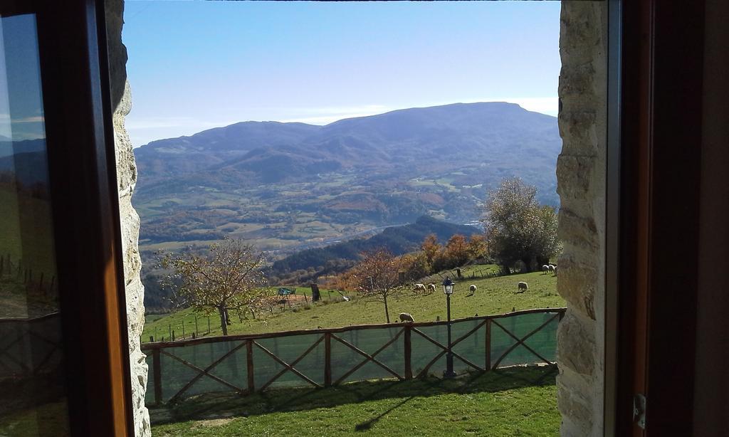 Agriturismo Al Monte サン・ピエーロ・イン・バーニョ エクステリア 写真